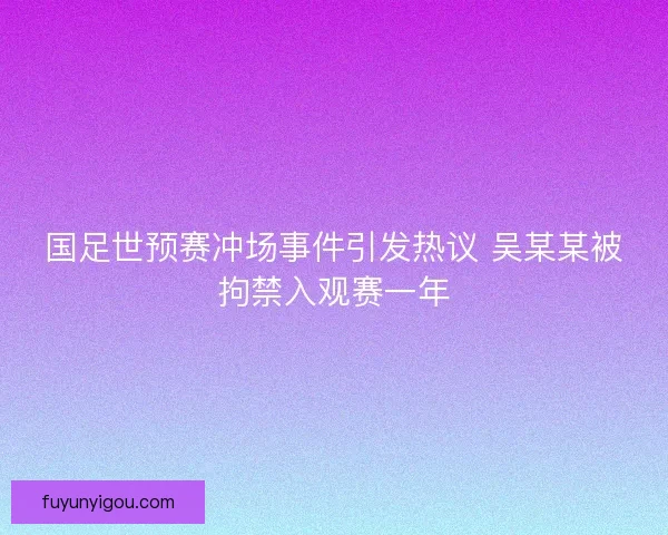 国足世预赛冲场事件引发热议 吴某某被拘禁入观赛一年