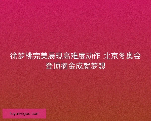 徐梦桃完美展现高难度动作 北京冬奥会登顶摘金成就梦想
